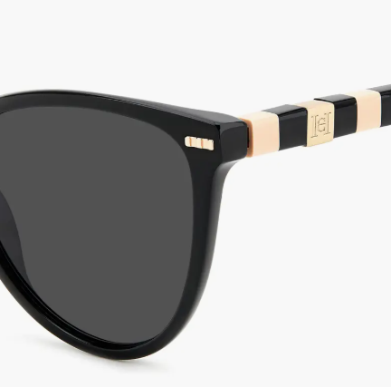 Women’s 57mm Cat Eye Sunglasses Carolina Herrera